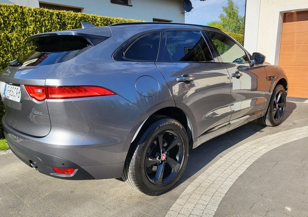 Jaguar F-Pace cena 116990 przebieg: 84000, rok produkcji 2018 z Dynów małe 781